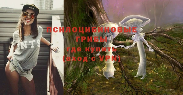 дурь Нефтегорск
